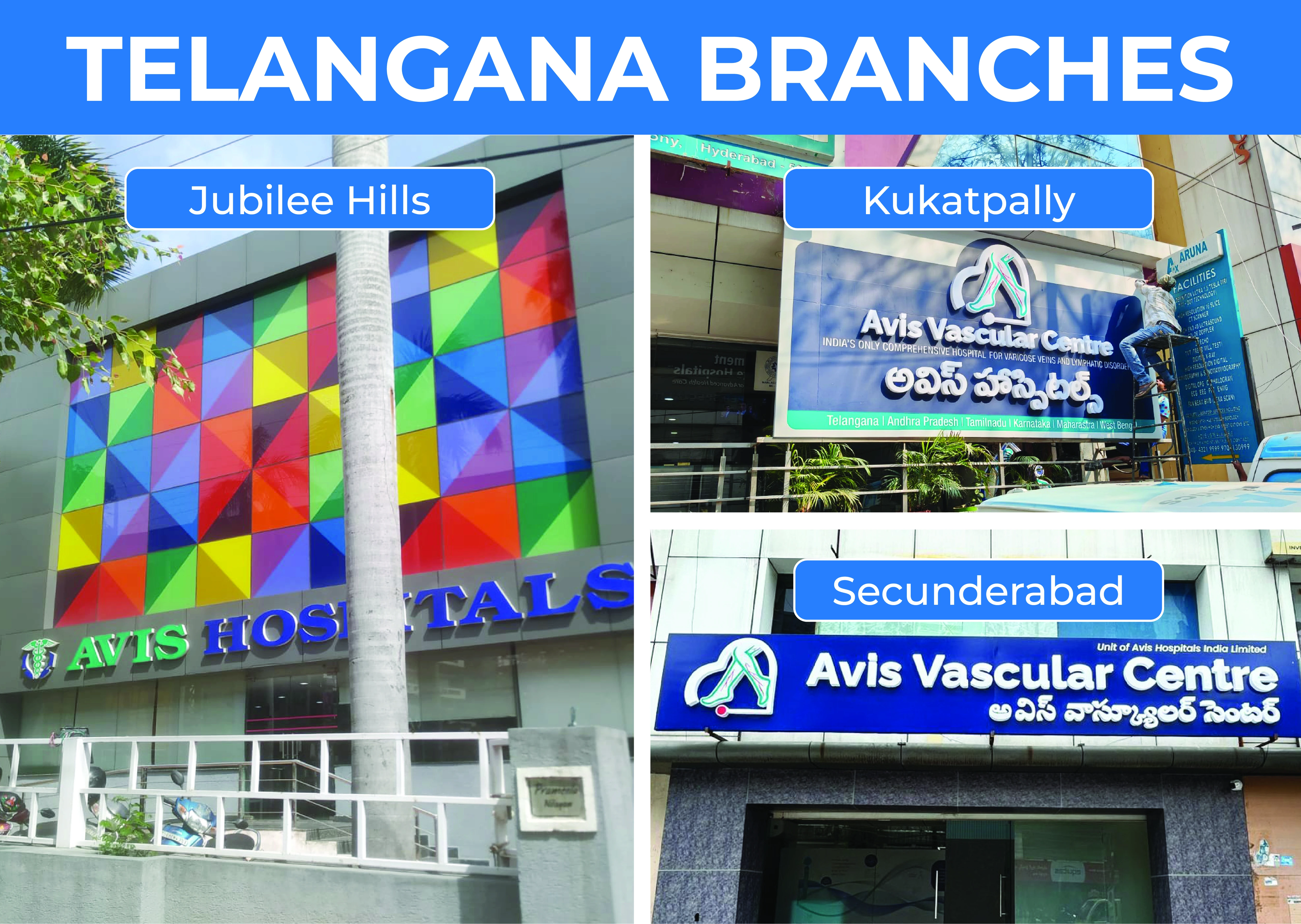 Avis Hospitals Andhra Pradesh Branches